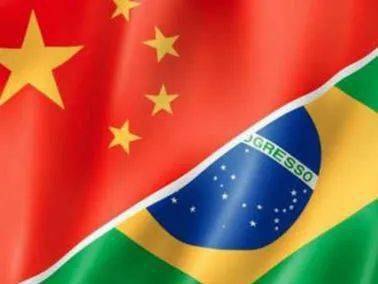 【2024正达外语节】黄金五十年 共谱新篇章 ——2024正达外语节"庆祝