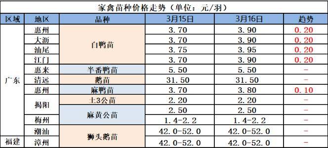 鹅宝市场价多少钱一克图片