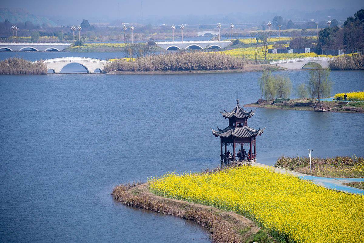 文明花开满城芳 眉山彭山城市美好向未来