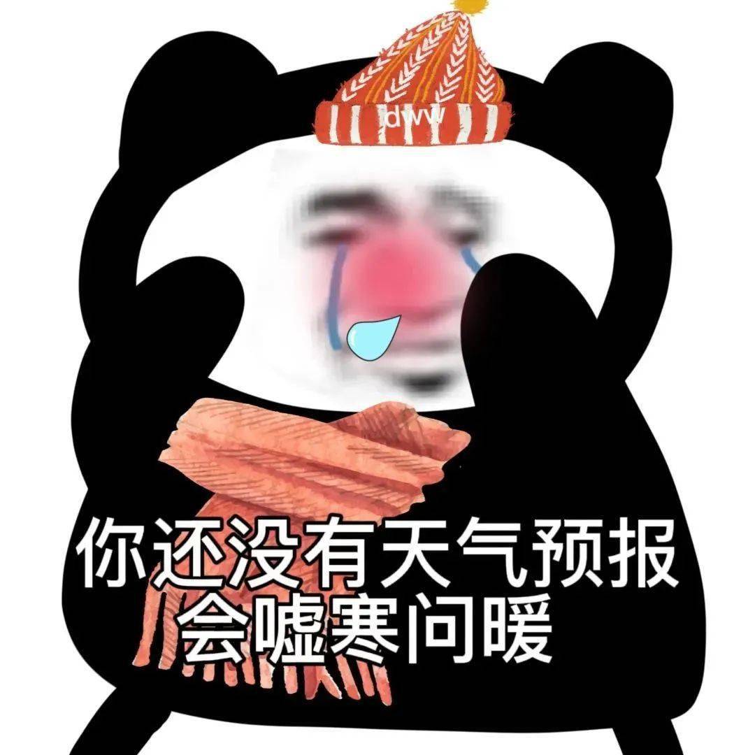 我亲爱的狗东c在吗熊猫头表情包