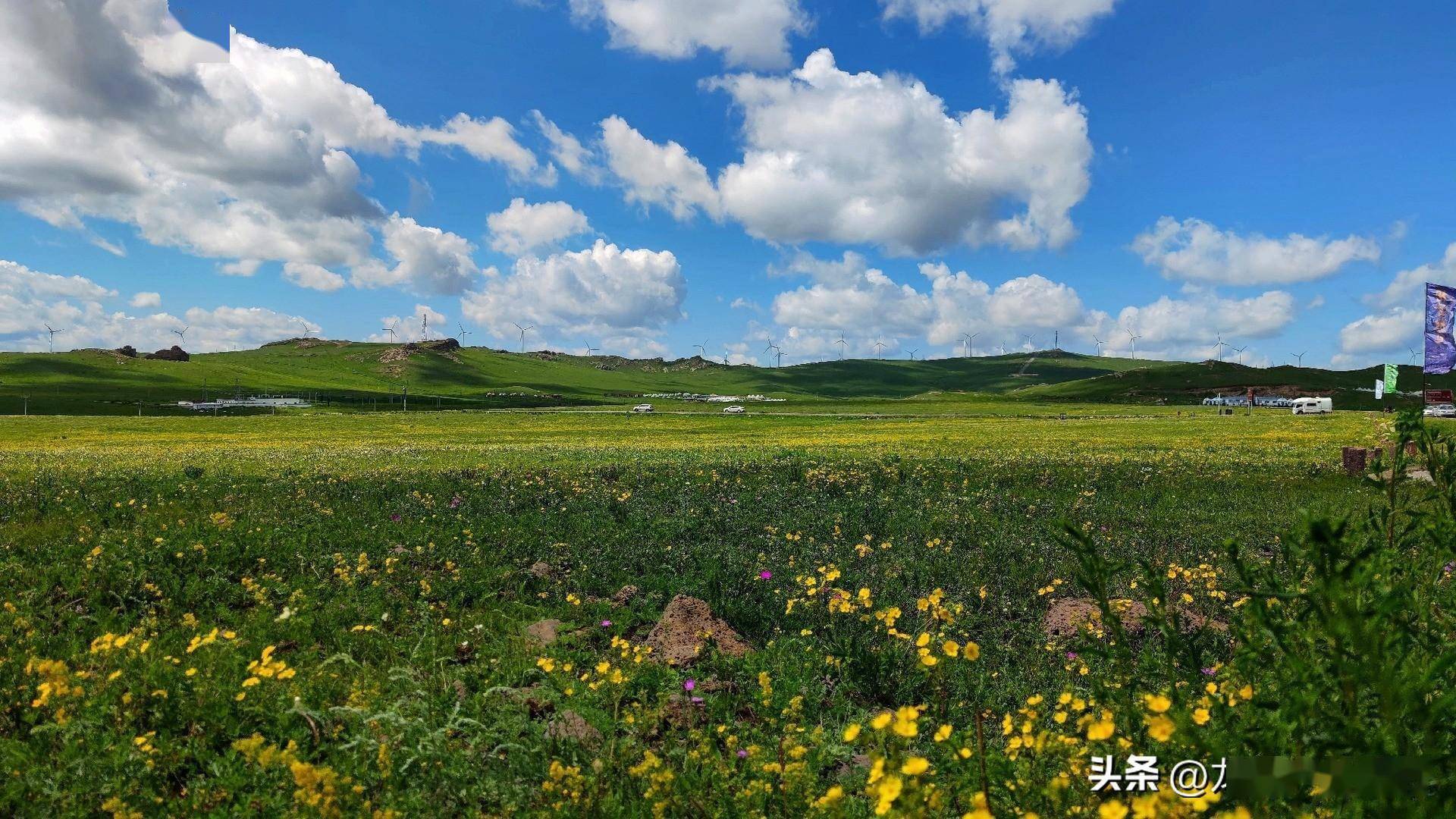 辉腾锡勒草原/乌兰哈山火山草原 徒步挑战赛路书_仪式_生命_蒙古
