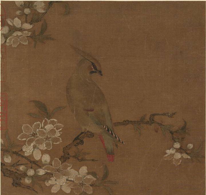 宋画寻鸟记下科学可以用来谈艺术吗