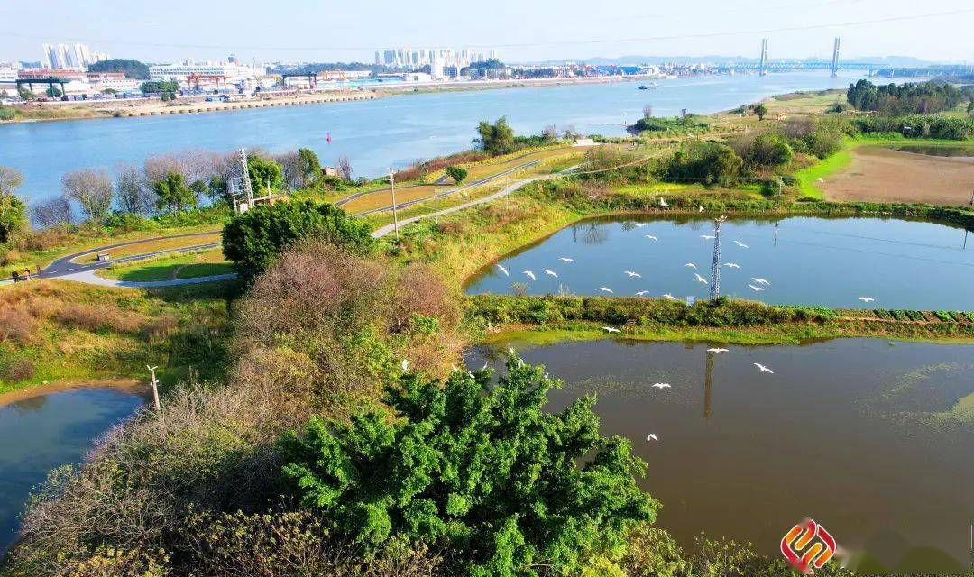 佛山这个绝美公园春天必逛