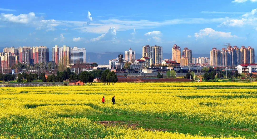 资讯丨自驾游汉中露营驻花海全国自驾车集结活动在汉中启动