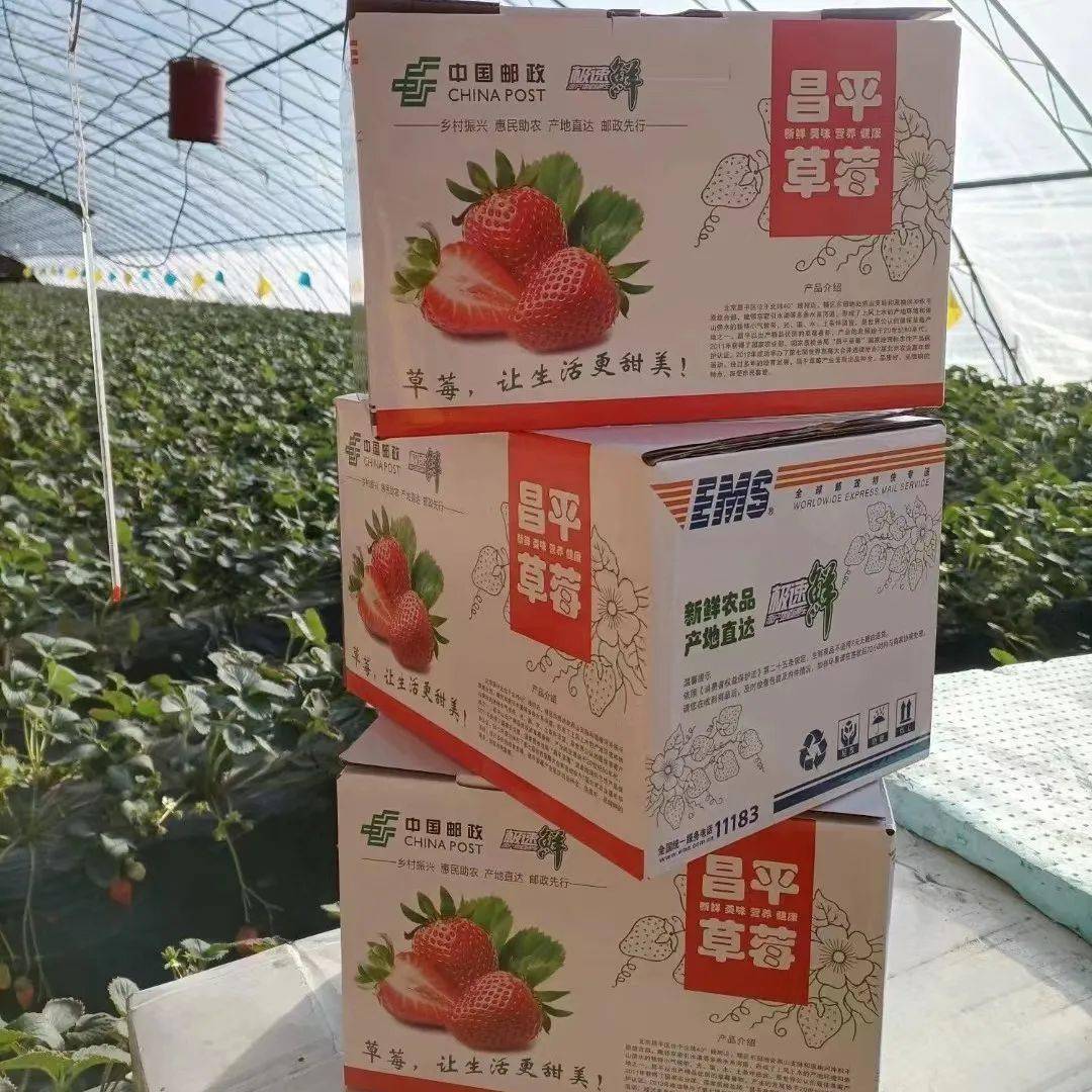 邮政拍了拍你吃了天水麻辣烫来尝尝昌平草莓