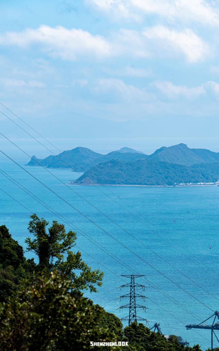 深圳山海新地标,巨型「蒲公英」开放了_梧桐_海山路_公园