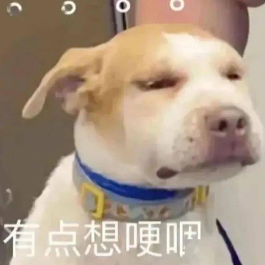 "明明啥也某干,但感觉到很使累慌,原因是……"_决策_生活_影响