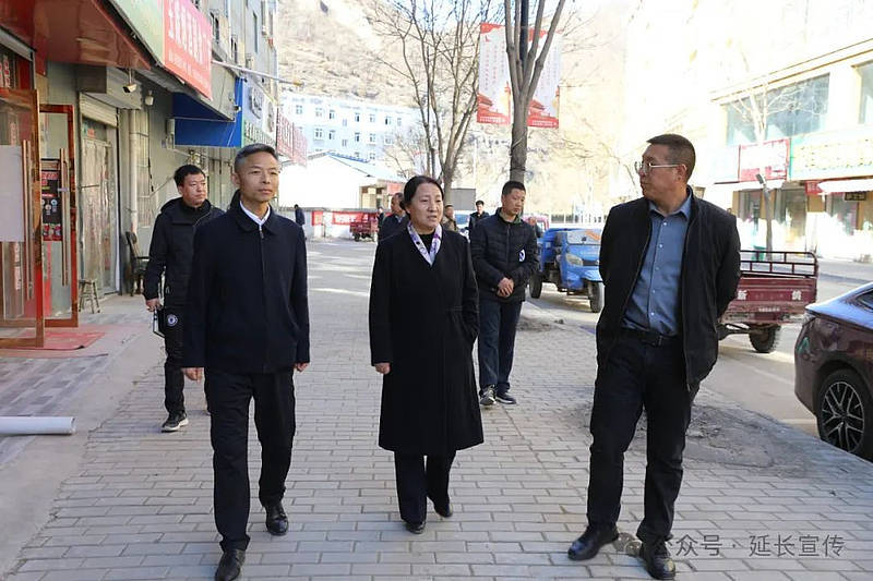 3月12日,延长县副县长王敏茹先后来到张家滩镇,黑家堡镇就国家卫生镇