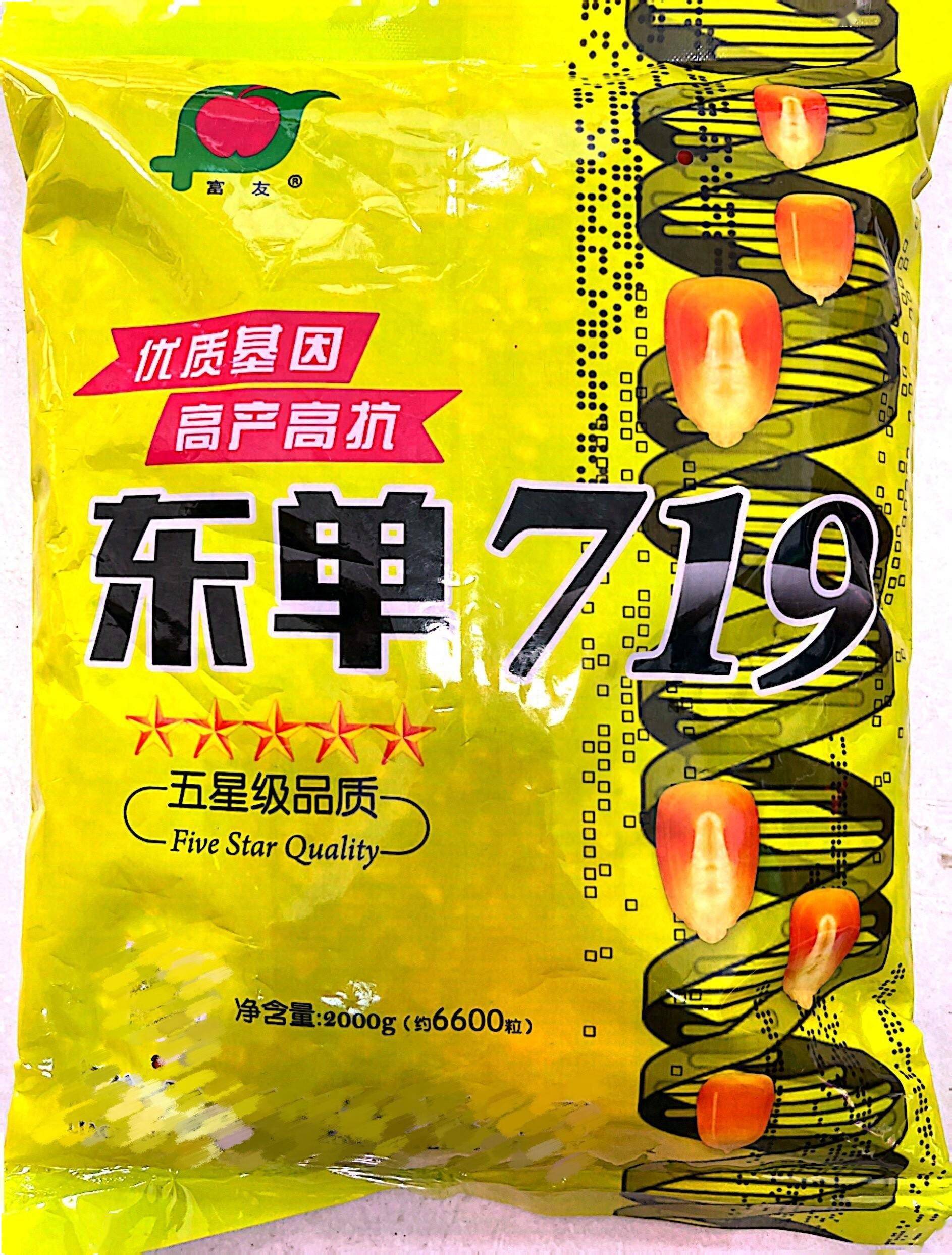 不挑地大棒子就种东单719