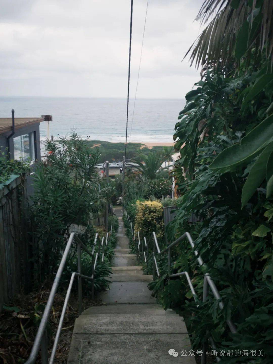 因为怕赶不上而小跑去海边的路上,只见感性细胞不断地抱怨着"你死后会