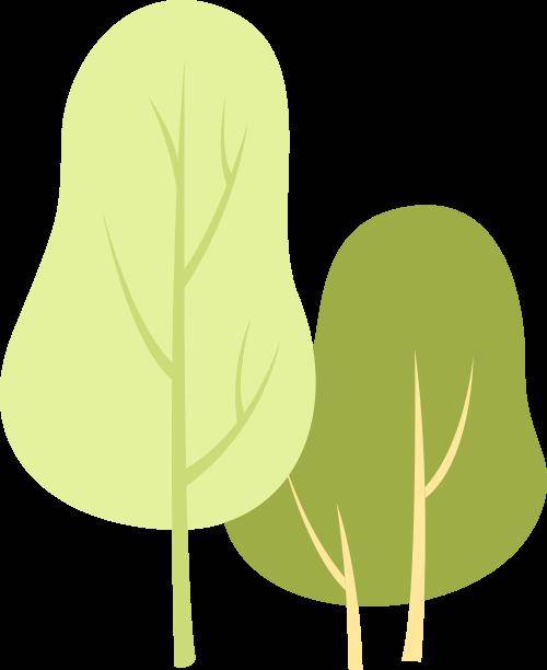 慧分享官方教减肥