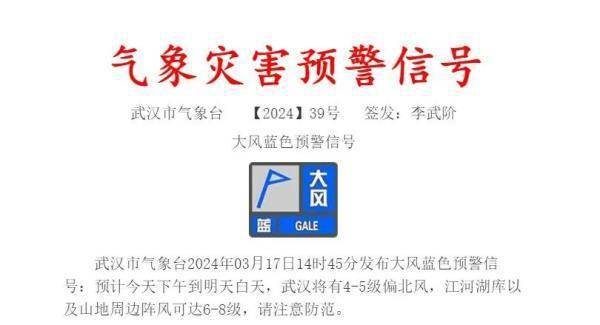 武汉发布大风蓝色预警降雨降温大风齐上阵