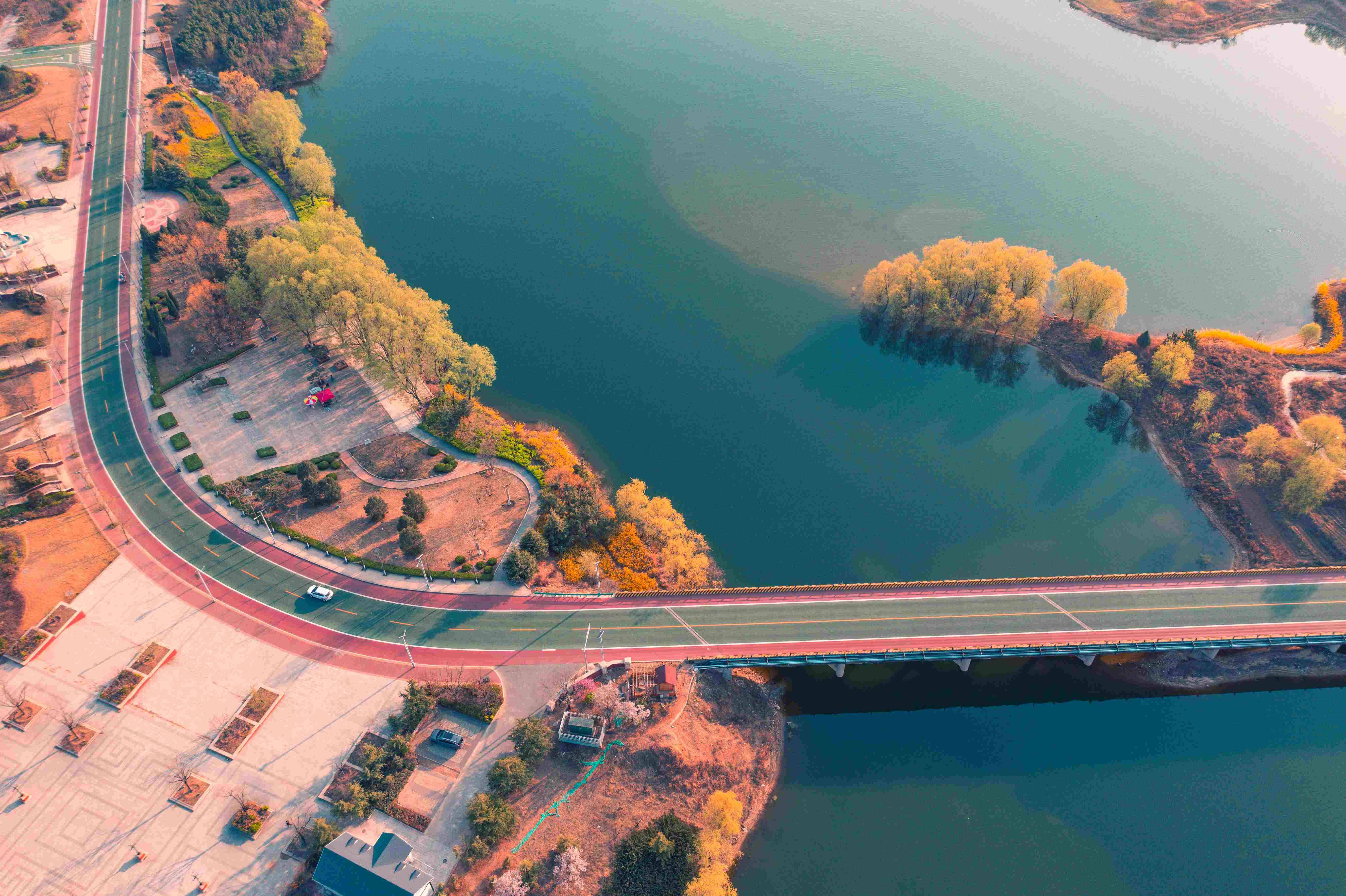 新时代新征程新伟业山东巧算春花经济账