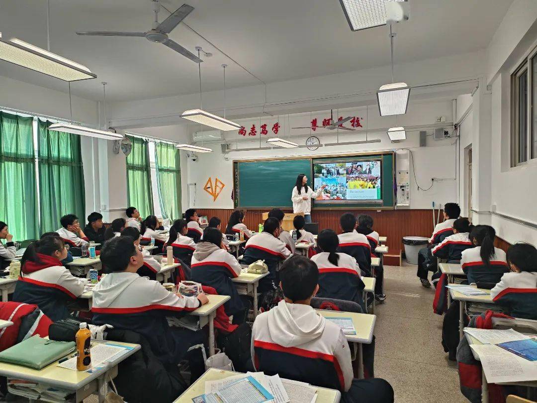 摆渡人第八季系列报道二十