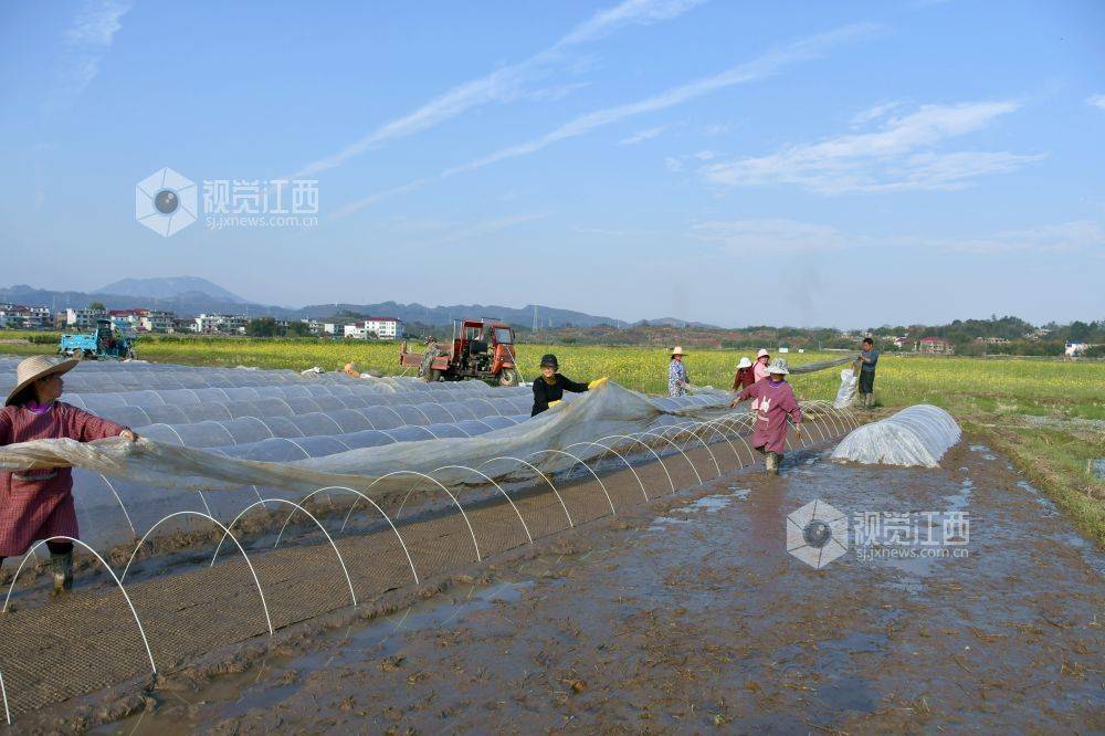 春耕备耕 不误农时_育秧_农机_新余市