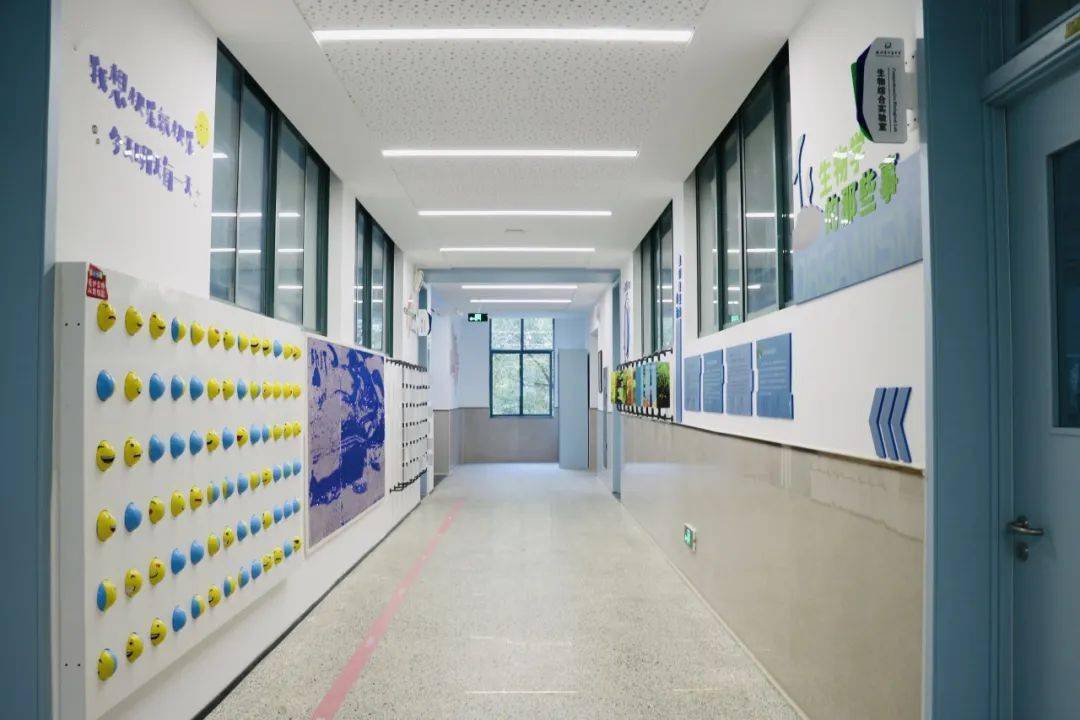 上新了!遇见西湖校园的"最美走廊"