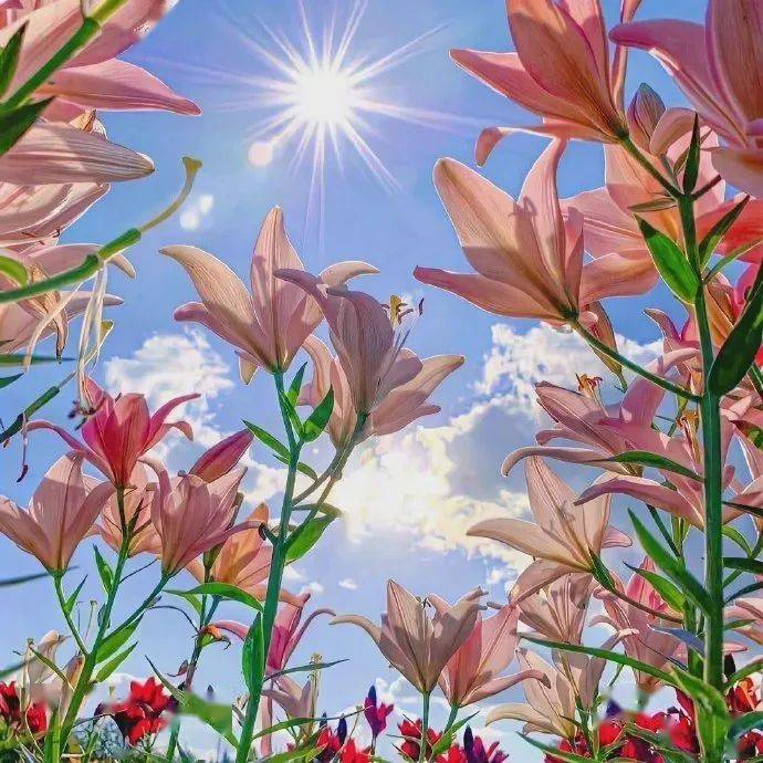 "女孩子朋友圈文案这样发 太喜欢啦"