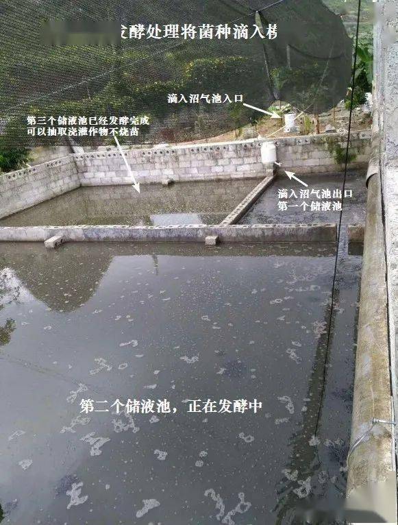 不要让新的粪水进入到处理池中,可以2个以上的粪污池(氧化塘)交替使用