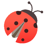 双面异形魔方滚珠盘优秀奖50名:steam太阳能蜗牛四等奖5名:地理知识