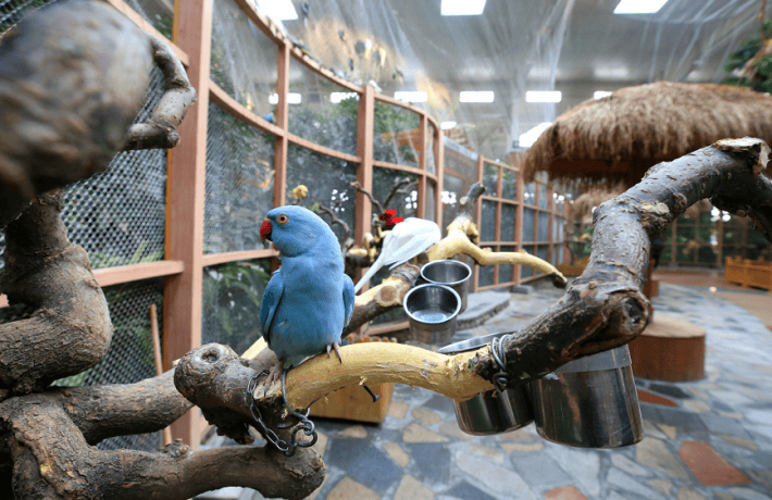 丰台超好玩植物乐园来啦!快来玩!_门票_儿童_游乐