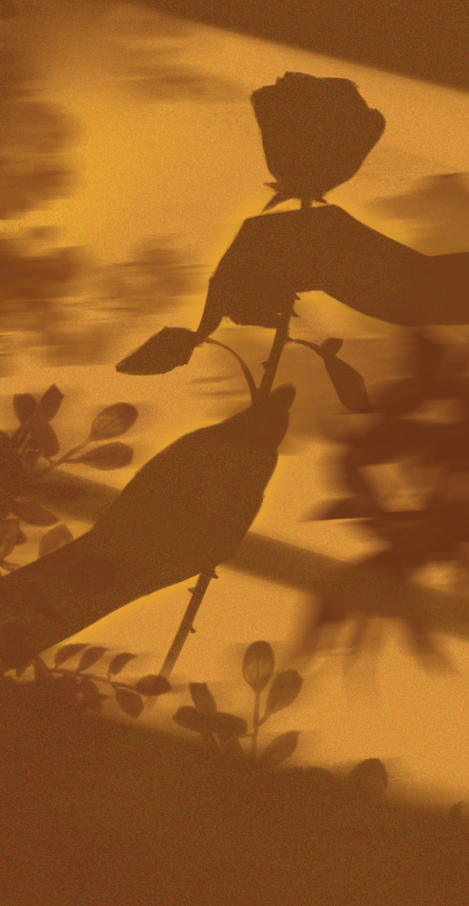 烛光音乐会爱乐之夜烛光中的爵士乐之声