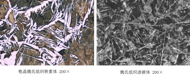 马氏体奥氏体珠光体20种材料彩色金相