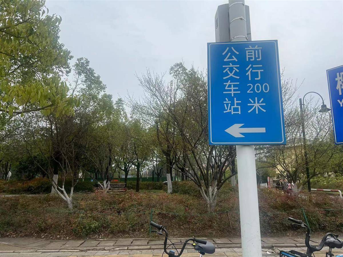 武汉东湖线上线下齐发力缓解"赏花堵",出游更便捷,赏樱更舒心_游客_景