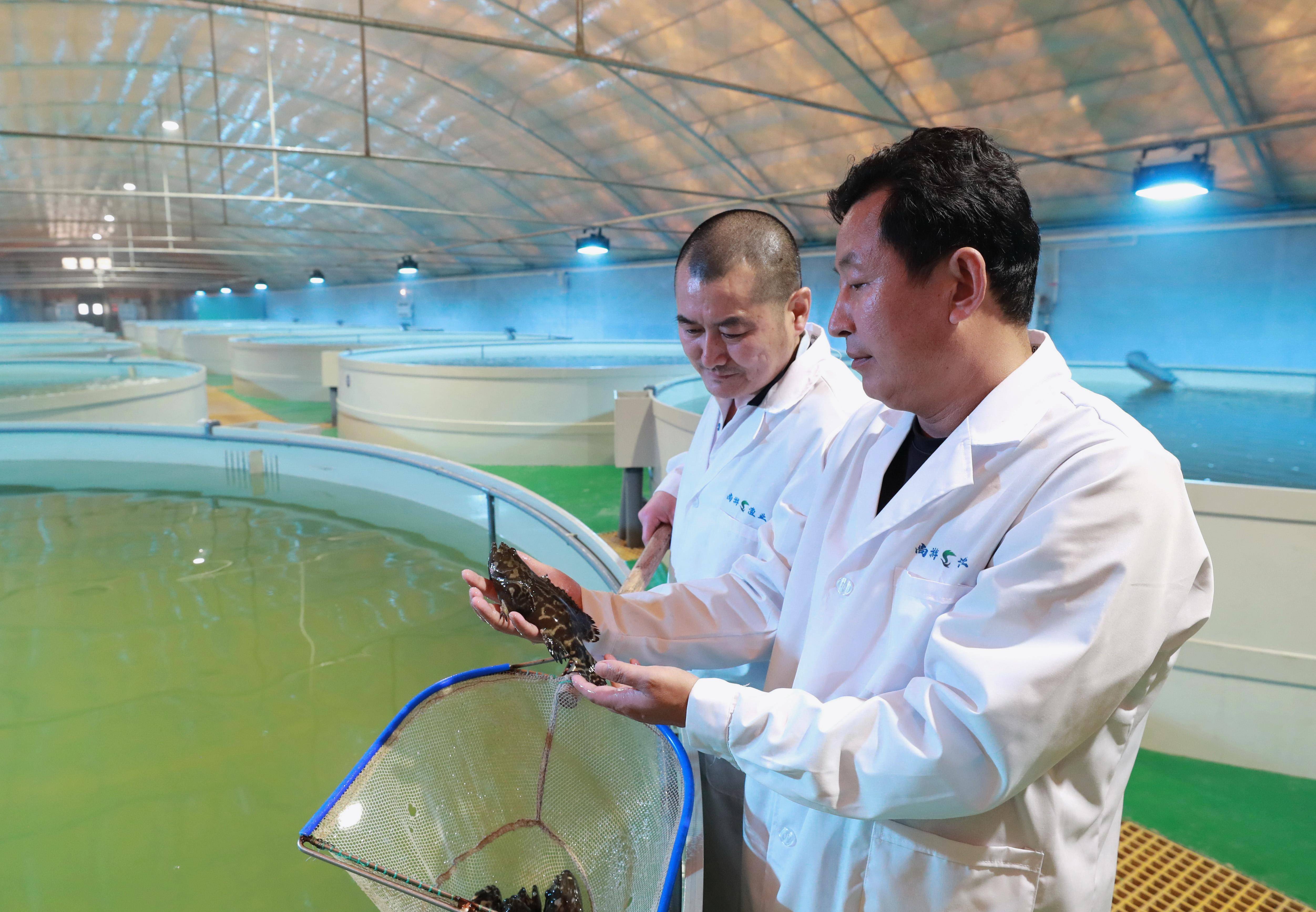 新华社记者 杨世尧 摄3月19日,河北省唐山市海港经济开发区智慧渔业