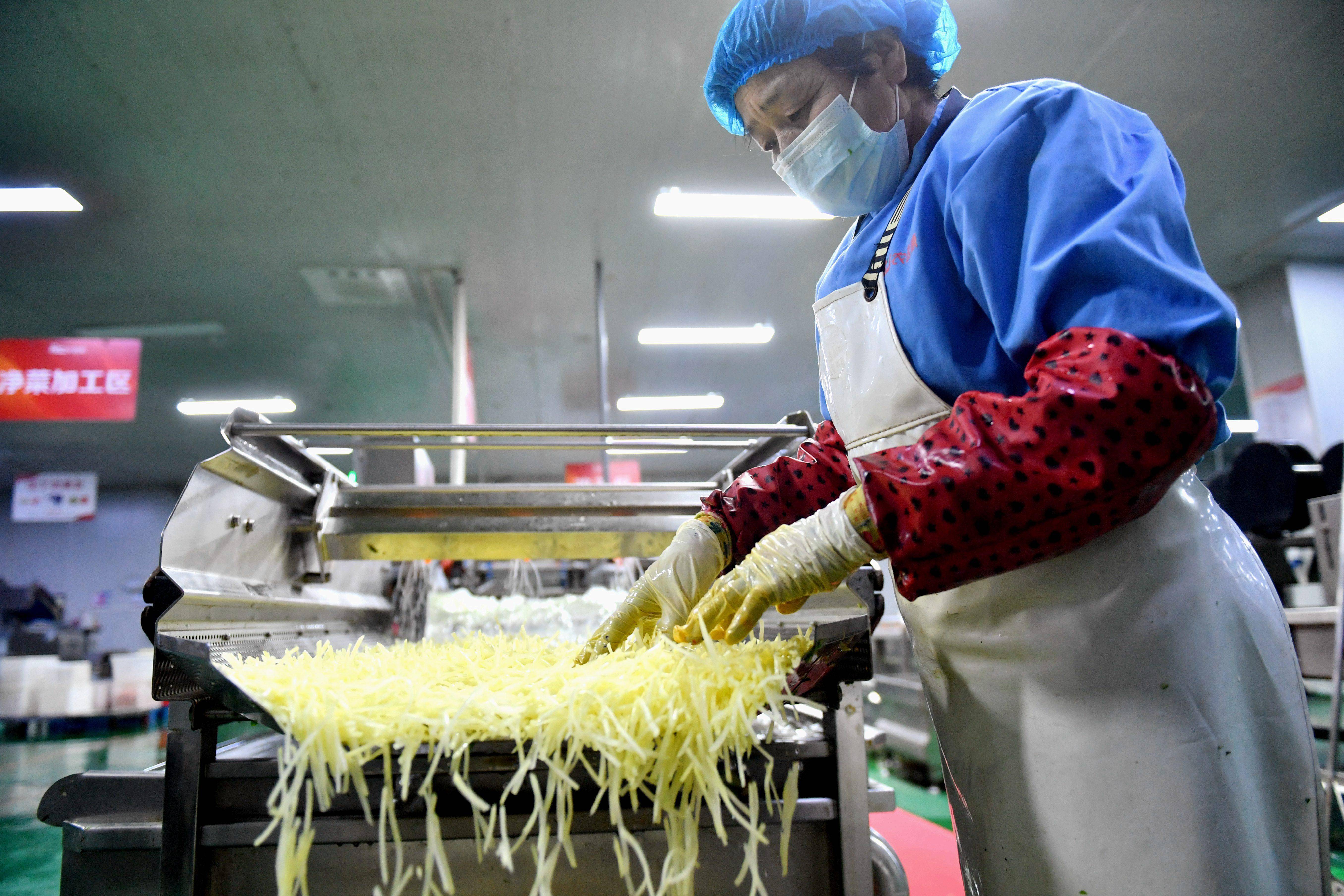 3月19日,工作人员在深州市一家净菜加工企业生产车间内作业.