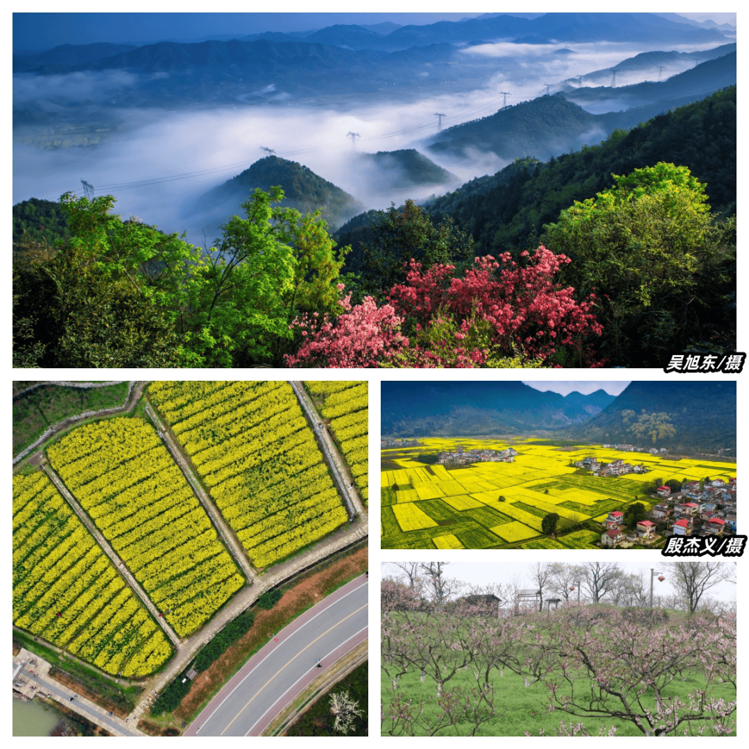 春山可望遍地繁花贵池邀您一起走花路