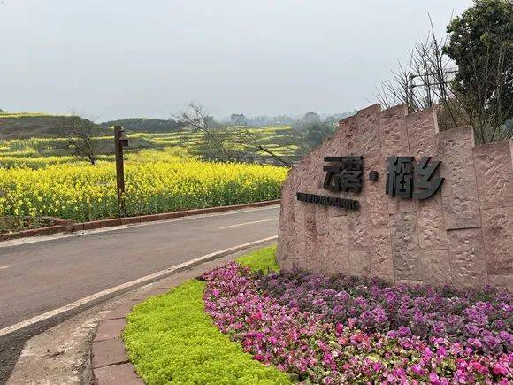 "刚看完一家农户改造的效果,八塘镇党委副书记邓定轩兴致勃勃地向记者