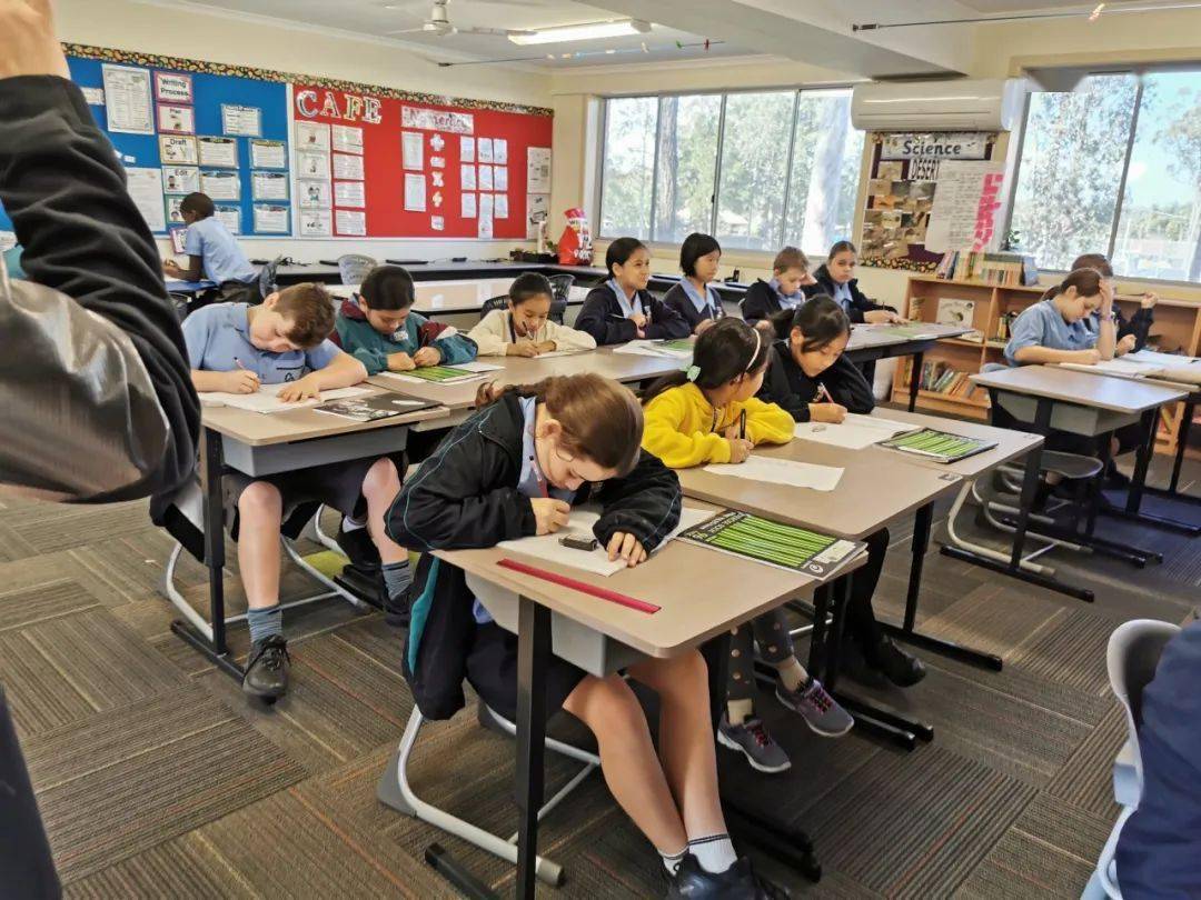 澳洲游学丨公立学校1v1插班寄宿家庭名校访学尽享澳洲自然文化盛宴