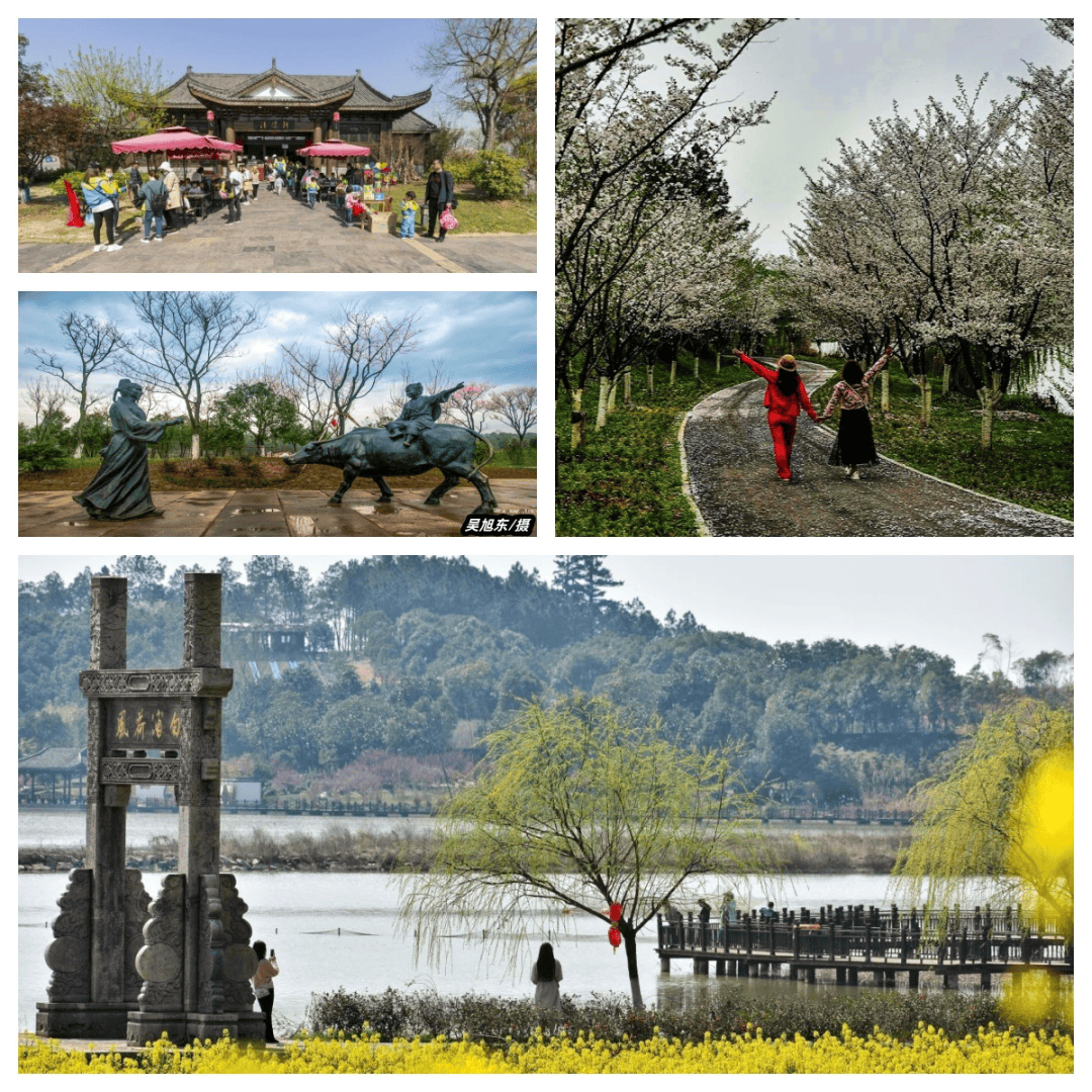 春山可望遍地繁花贵池邀您一起走花路