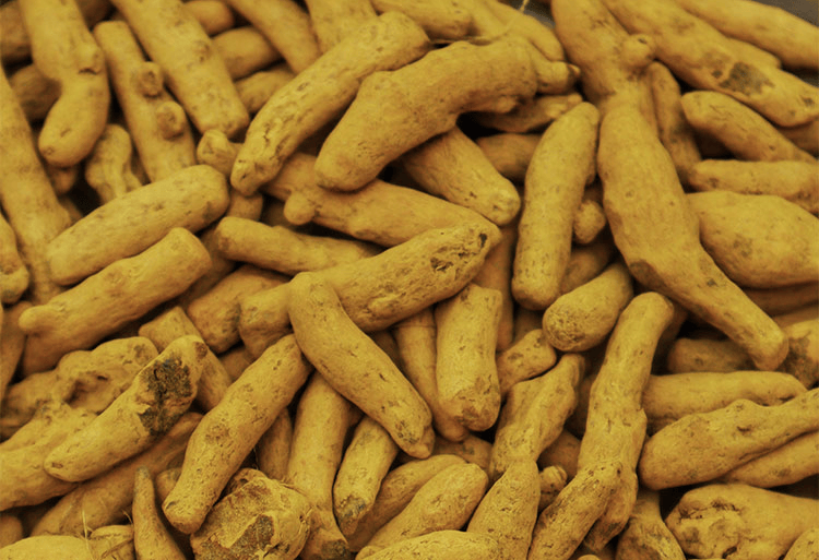 营养宝库植物奶每天来一杯暖心暖胃温和滋补