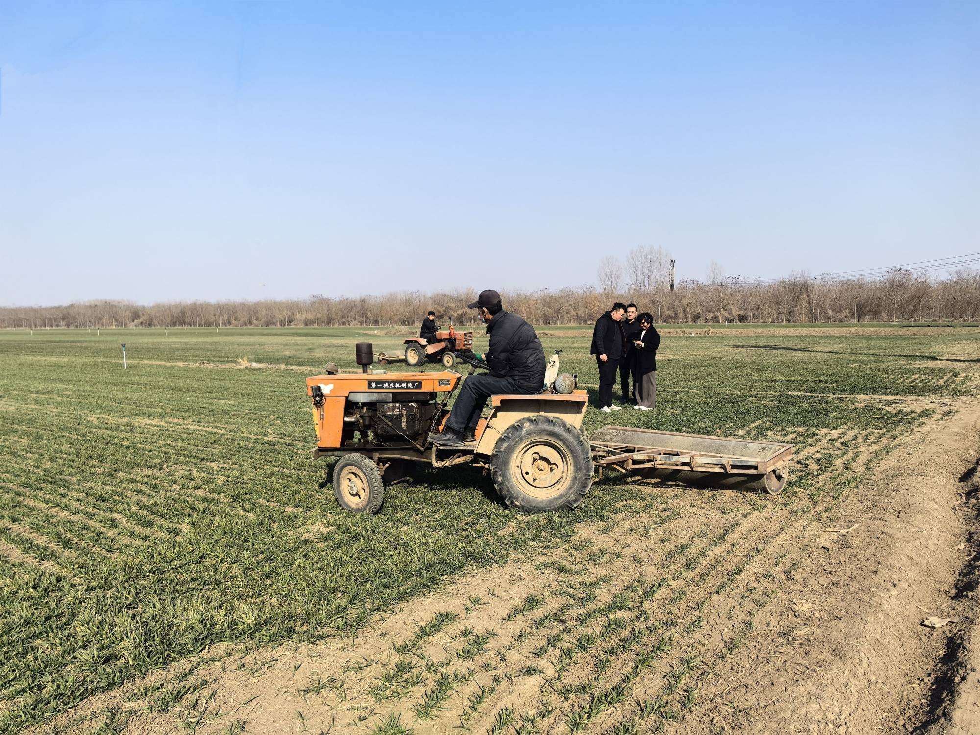 河北蠡县麦田镇压忙稳产保丰收