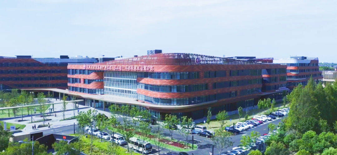 龙腾沪跃看青浦区委书记徐建接受中央广播电视总台上海总站专访