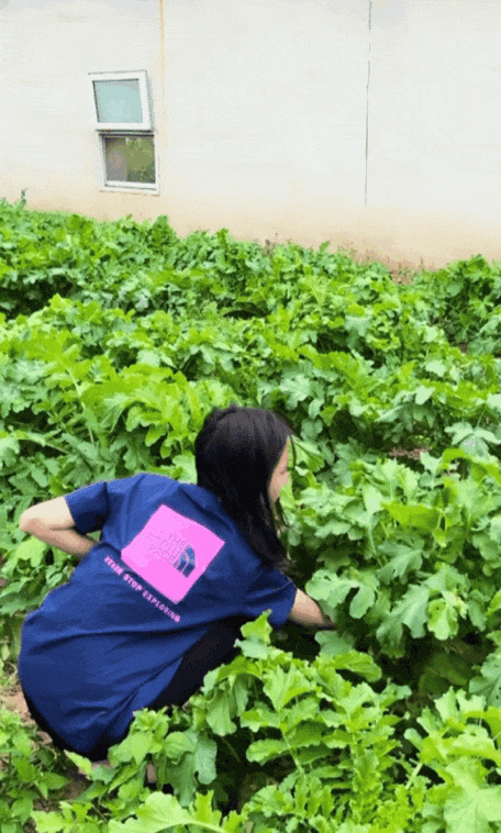 被骂七年的李小璐终于发声