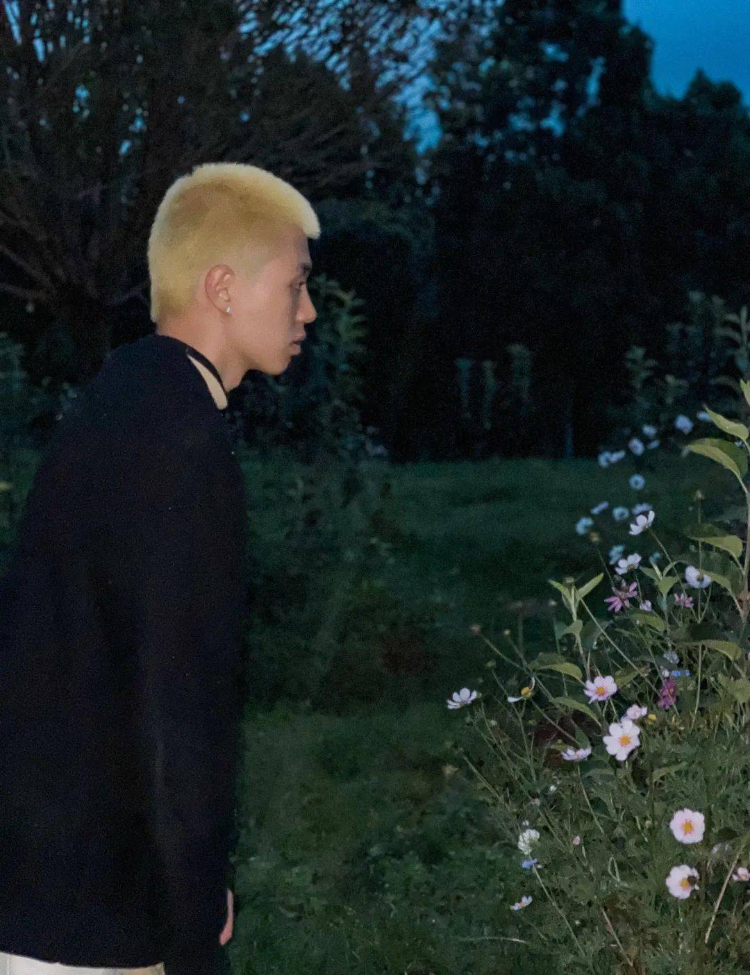 音乐星辰下的双行者讲述音乐的城中故事