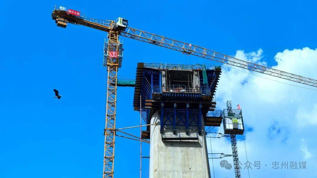 汝溪河双线特大桥桩基施工全面完成_忠县_全国_桥梁