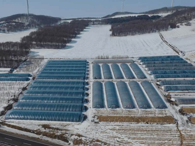 锦山镇:强化春耕管护 种下增收致富新希望_果园_富锦市_种植