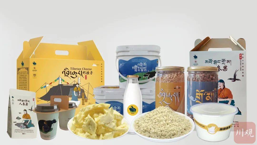 牦牛奶延伸产业链炉霍高质量发展有了新渠道
