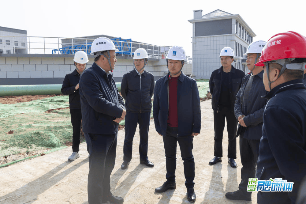 3月19日下午,汨罗市委副书记,市长林恒求深入高新区,新市镇,神鼎山镇