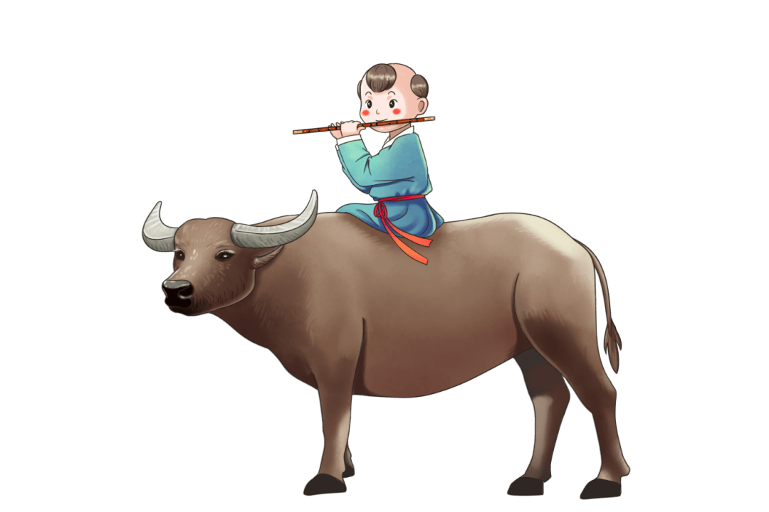 3月24日不一样的植树从一头耕牛开始赶牛犁地种树挖野菜摸螺抓鱼制作