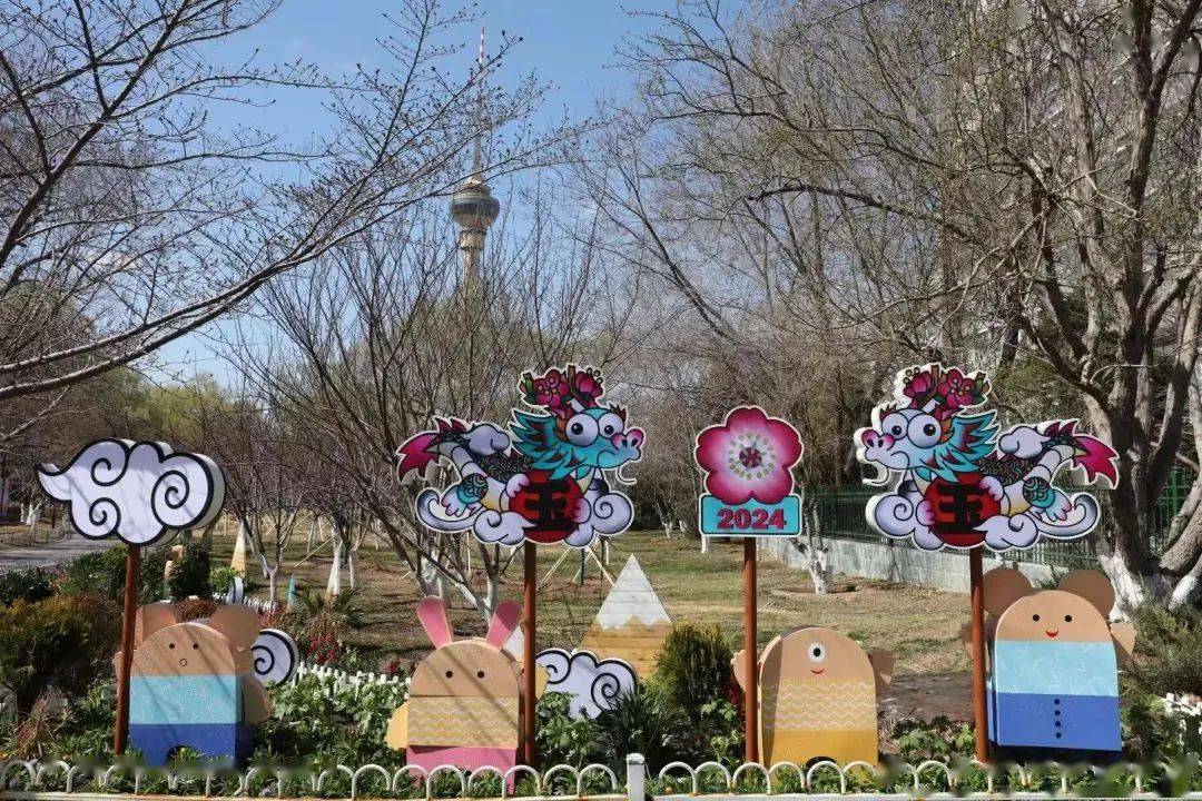 游客_樱花_公园