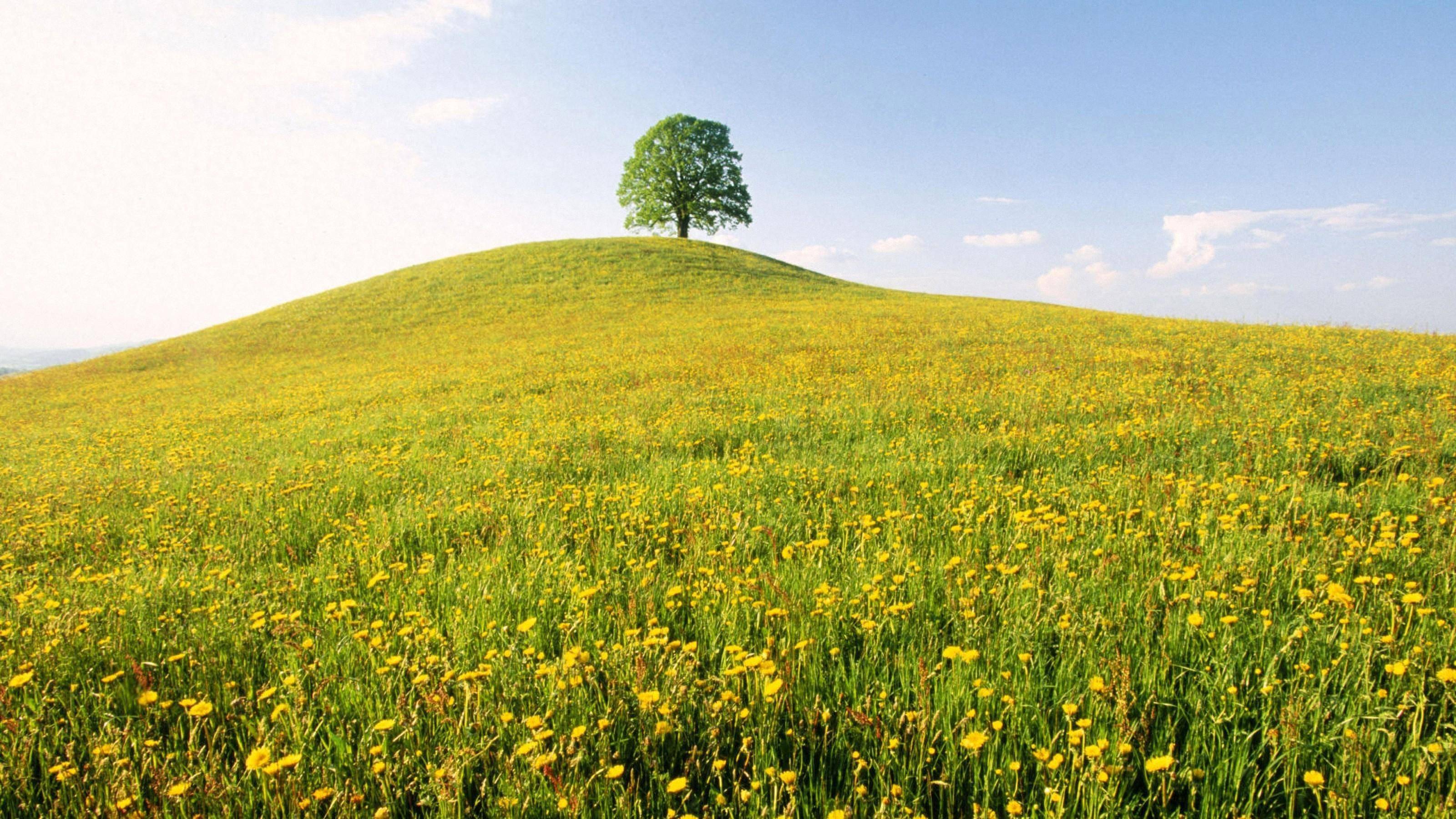 女人,请不要破坏自己身上的上等风水:别对老公做这三件事