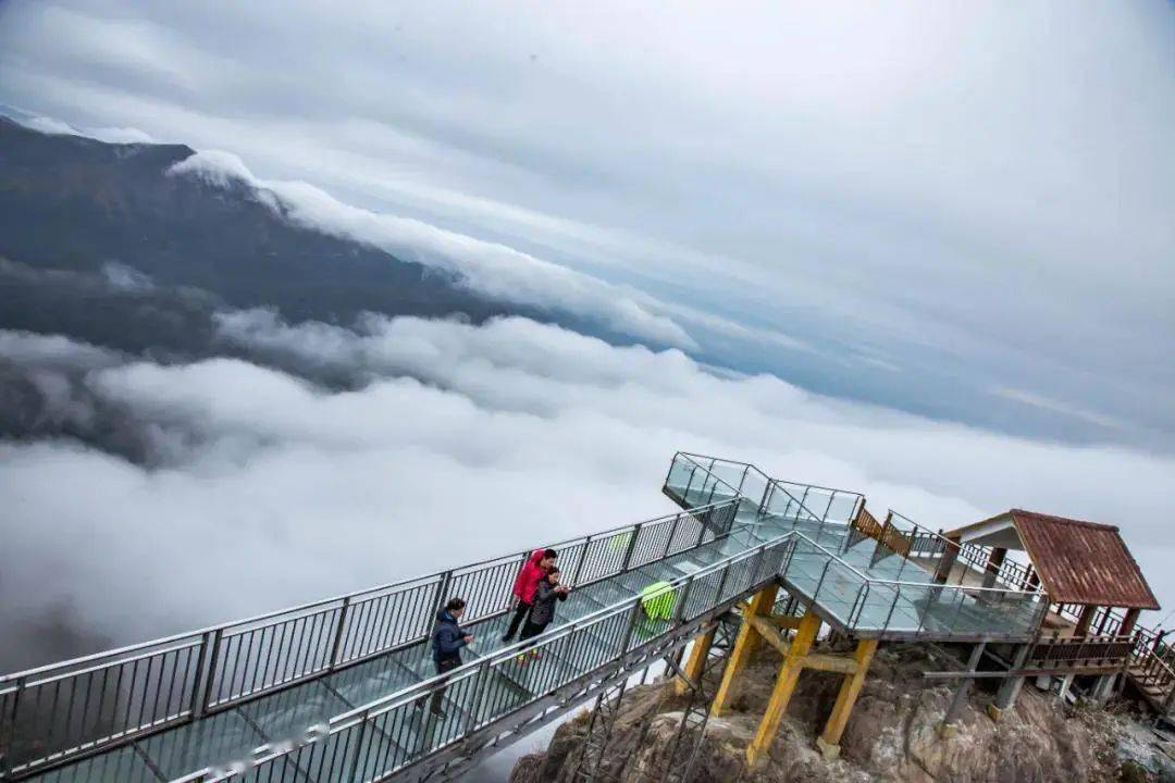 2天1晚玩转清远金子山生态风景区~含双早 登山 玻璃桥 索道_广东_度假