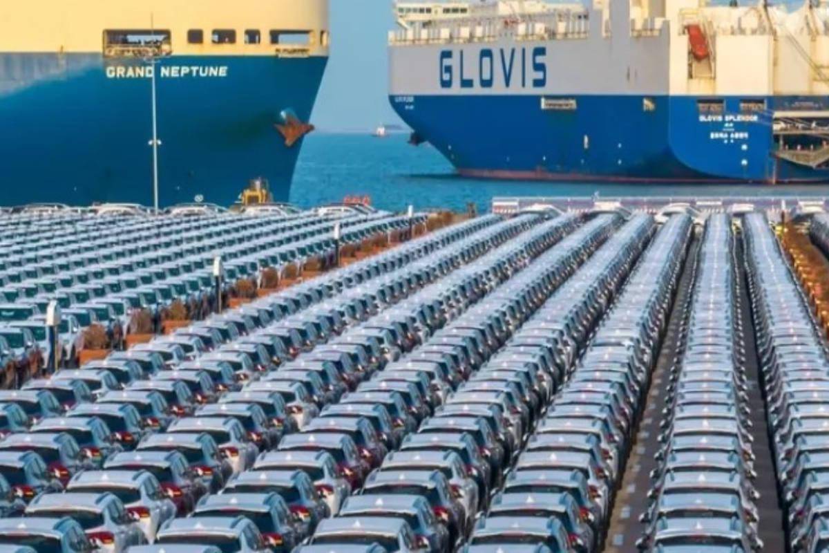 "电动车孤岛"关键是怎么个"孤"法_搜狐汽车_搜狐网