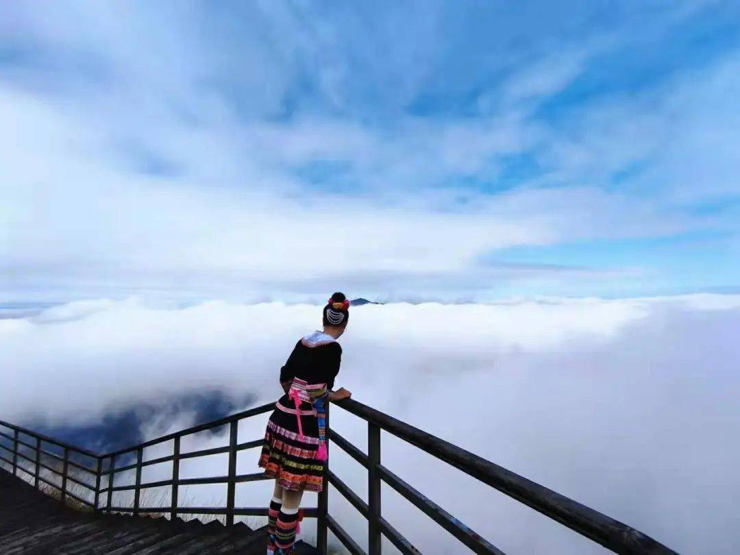 2天1晚玩转清远金子山生态风景区~含双早 登山 玻璃桥 索道