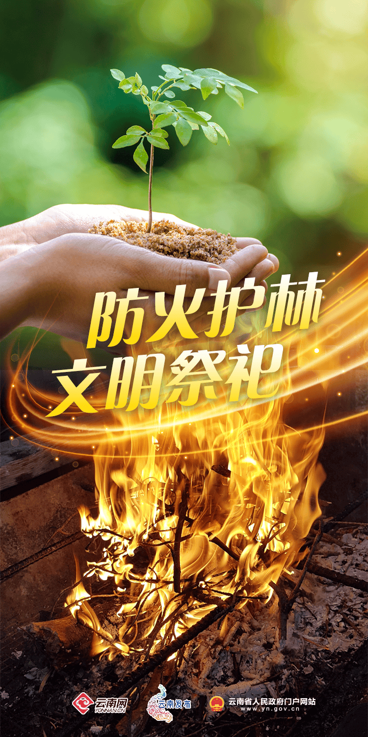"林 火=焚"!春季防火请牢记→_森林_火灾_守护