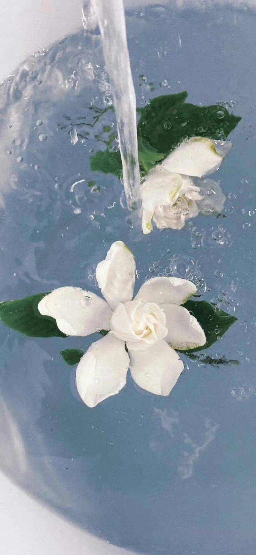 壁纸氛围感手机壁纸